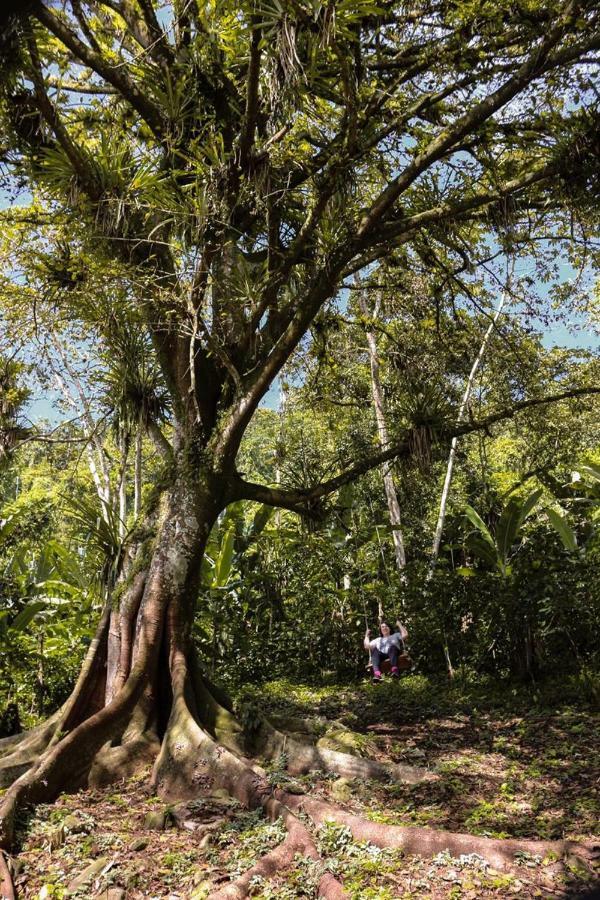 Chale Suico - Chales Belo Monte - Sitio Belo Monte Pacoti Exterior foto